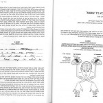 כתיבה ביד שמאל – פטרישיה זיגל, עמ' 1-10